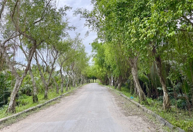 Sinh Vien Dh Mo Tp Hcm Gap Kho Khan Khi Tim Cho Tro Tai Nha Be 2